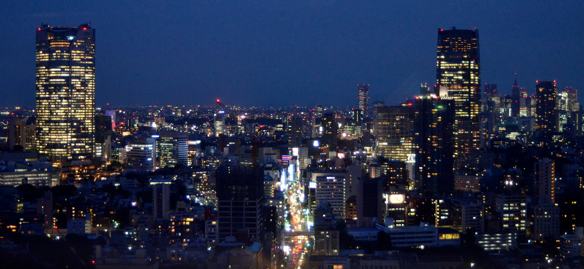 Tokyo skyline at night seen from Tokyo Tower